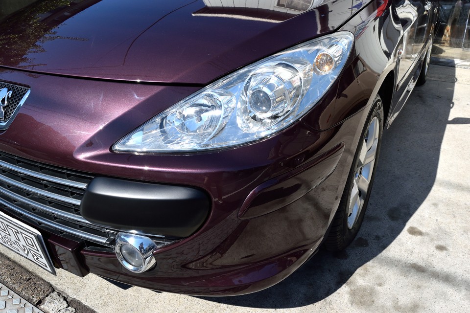 鮮度の良さは目を見れば解ります！…魚かっ！（笑）