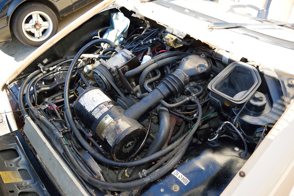 エンジンはさすがに年期を感じますが、30年物のアンティークですので…。
でも、厄介な電子制御類は無いし、OHVでタイベルの心配も無いし、とメリットも大きいのです！