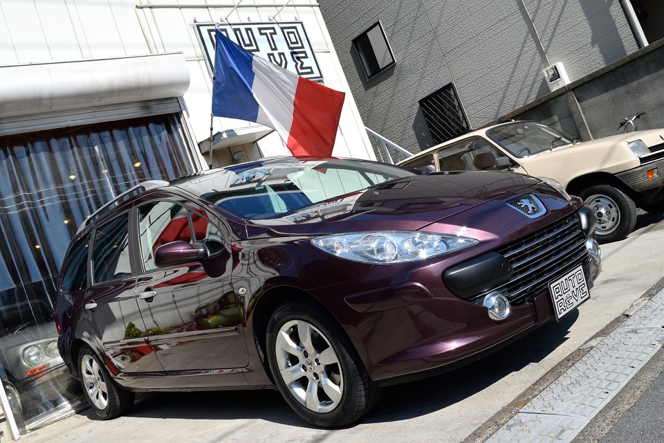 と言うわけで何でもこなす賢い伴侶！ chat pourpre（紫色の猫）はいかが？