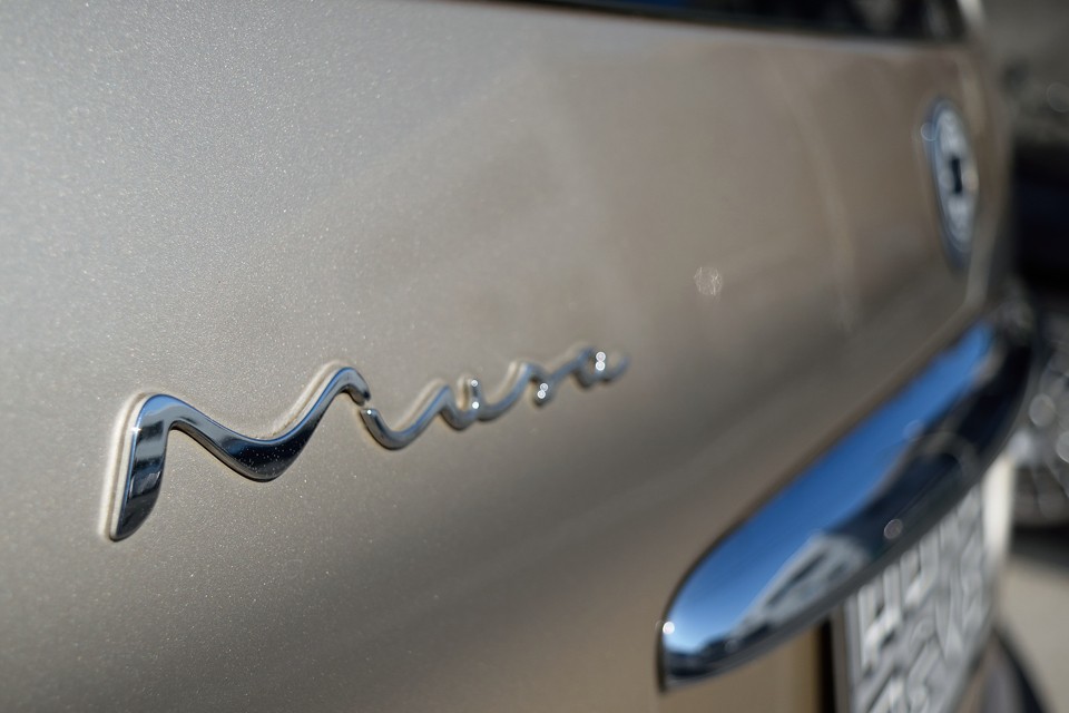 「文芸の女神Musa」の語る詩ではないかと…。