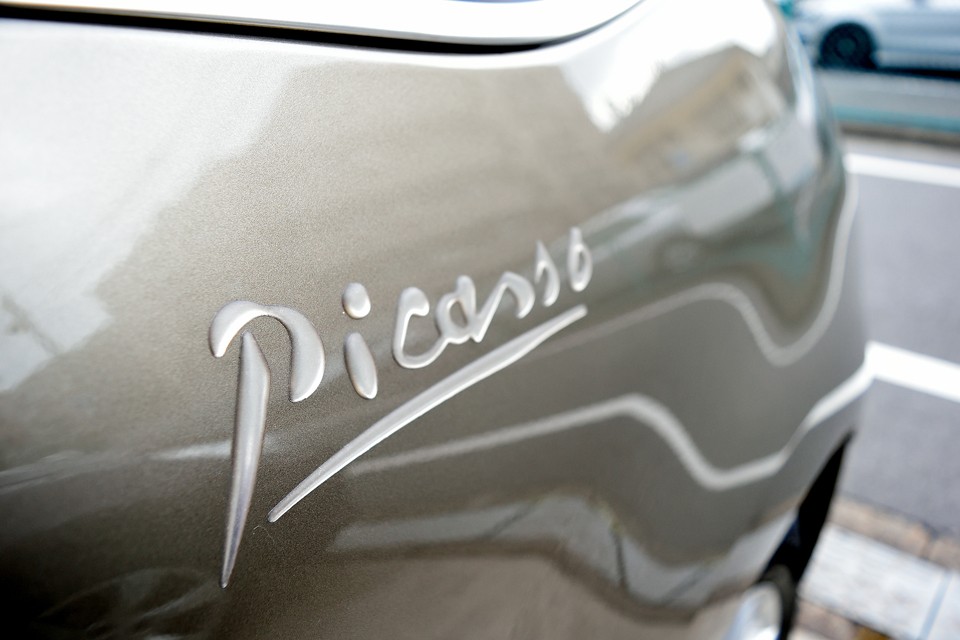 いつも寄り添う様に傍らにいた鳩に安らぎを感じていたのでしょうね。