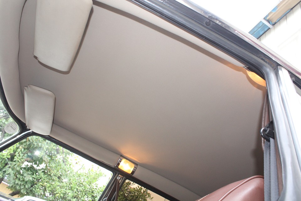 見落としがちな天張りはご覧の通り！素晴らしい〜！