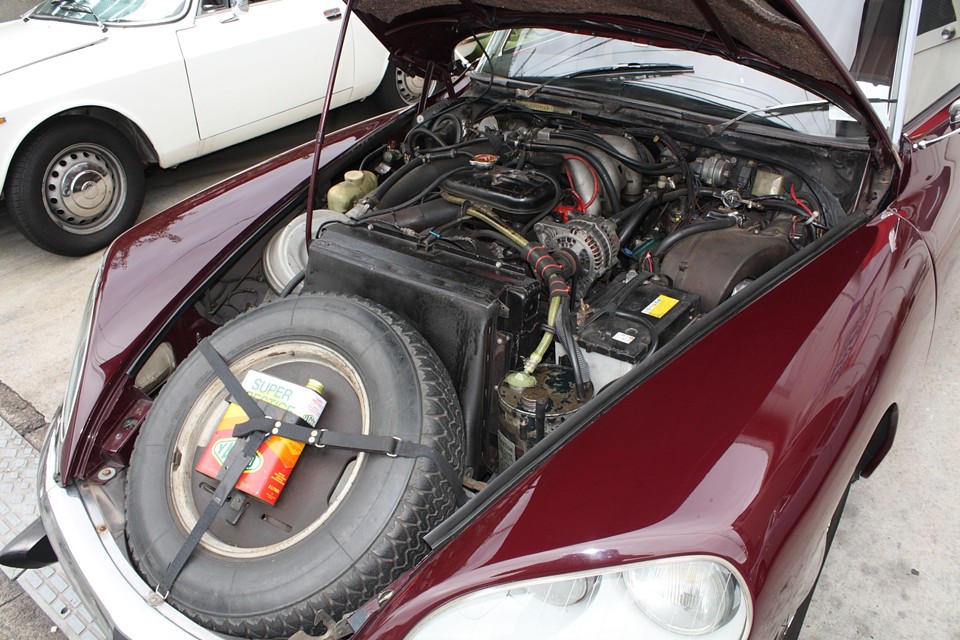 DSを見慣れた方なら、これがかなり手の入った状態だとお判りいただけるはず！