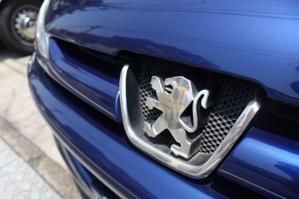 きっと、家族の笑顔や楽しい思い出の傍らにある姿を思い描くはず…。