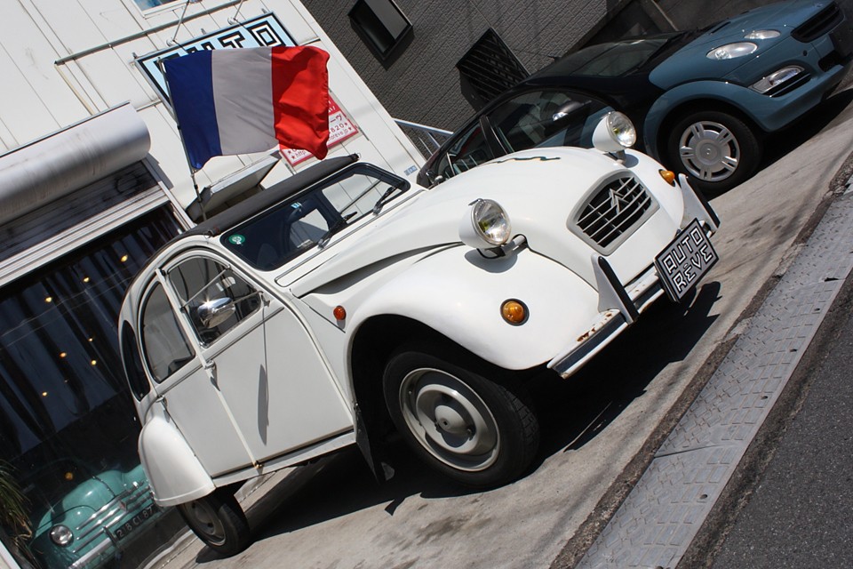 何はともあれ、ニコッと笑顔でゴリラとドライブ！難しい理由なんて必要ないですよね？！