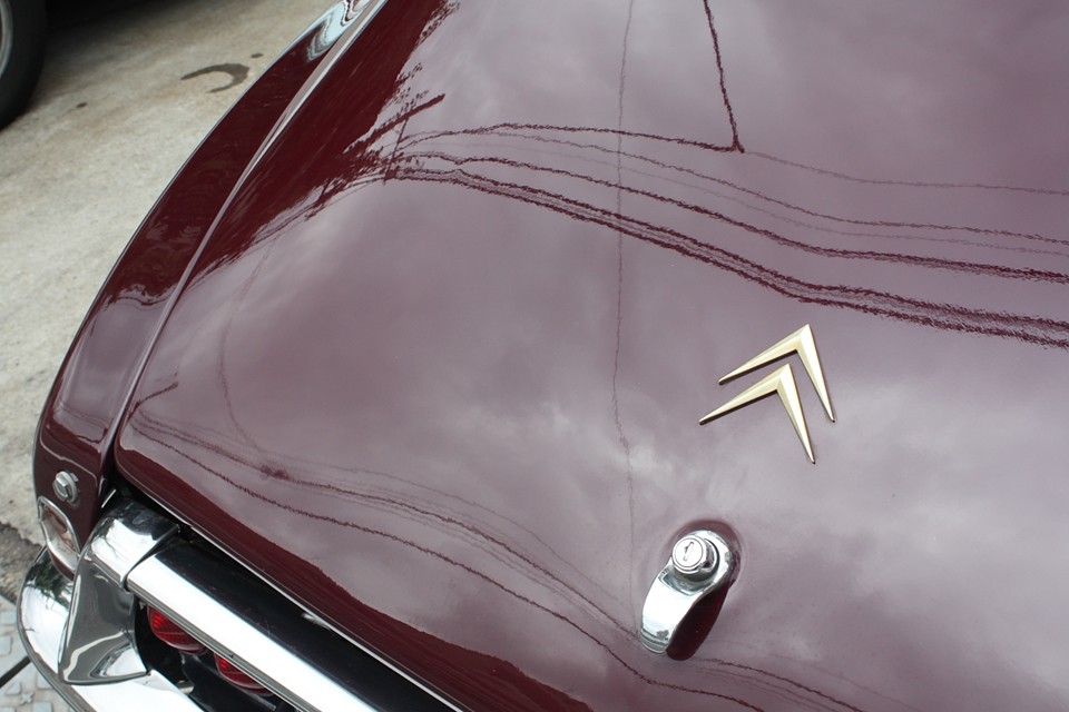 そう、素晴らしい創造物への感謝として、賛辞を送りたいと思います。