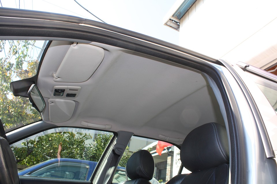 見落としがちな天張りもご覧の通り！