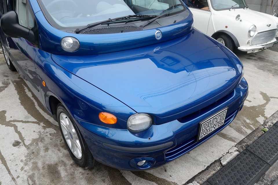 文字通り『程度の良いムル』をお探しの方！ココ、ココ、ココに有りますよぉ～！