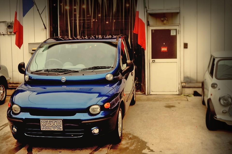 何万年もの昔から生きてきた古代生物の進化した姿？を感じてしまうのです。フィアット種→ファミリー属→ドライビングプレジャー科→ムルティプラ目・・・みたいな。