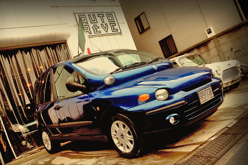 ジュラ紀からこんにちは！楽しく愉快な「キモカワ」生物！その名はムルティプラ～！