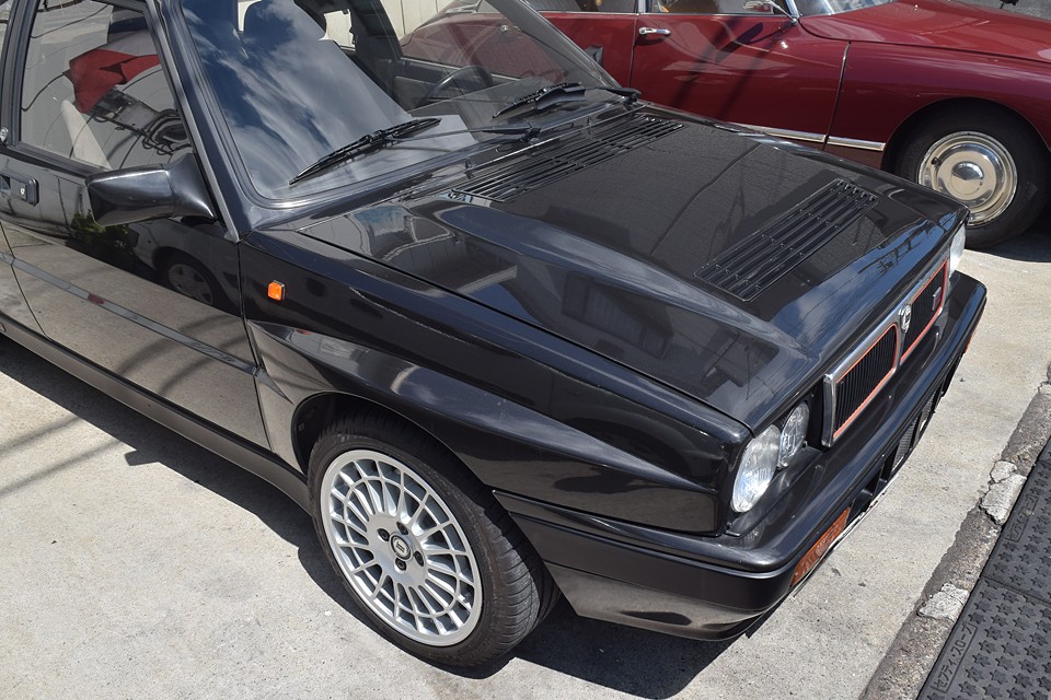 これだけ「たたずまい」の良い、美しいデルタ、久しぶりに見ました。