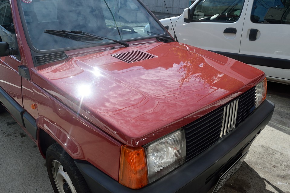 ねっ、キレイでしょ。