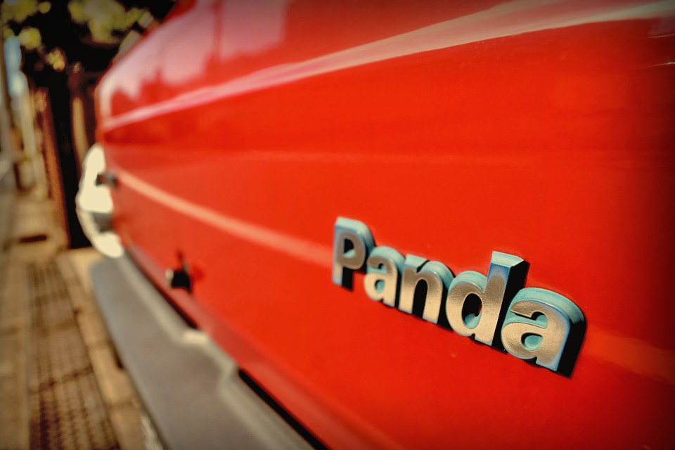 これはもはや、その再来？！パンダ39と呼んでも良いのではないかと・・・。