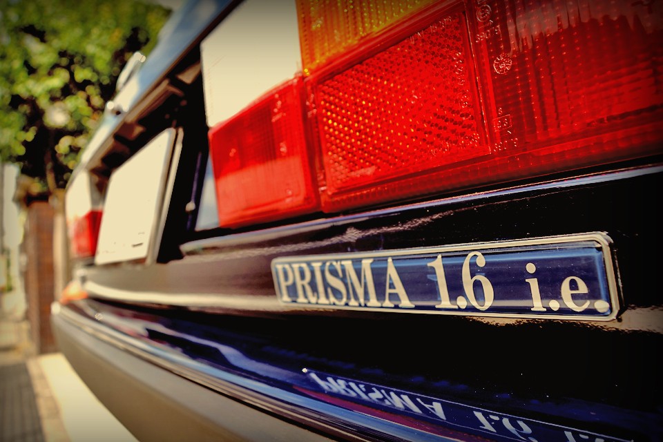 言えるのは、この繊細で緻密に計算された姿は、見る人が必ずと言っていいほど、美しいと感じるはず・・・それは言わば、普遍であり・・・。