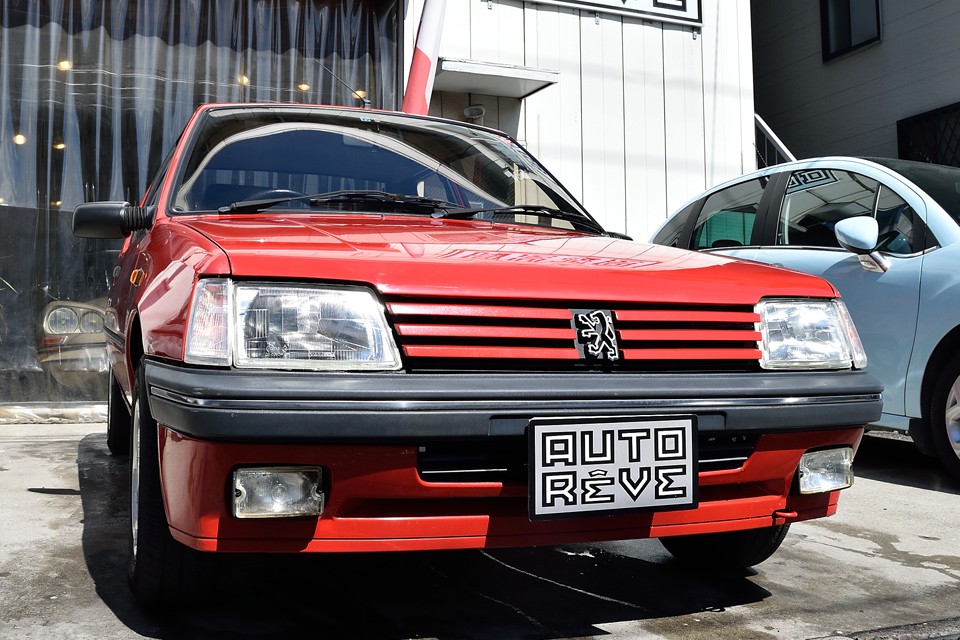 血統の良い猫科を思わせる端正な顔立ち！かわいいニャ～！（笑）