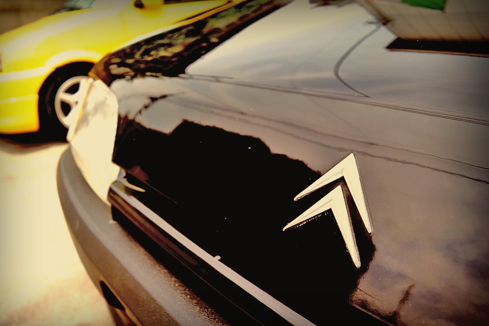 そんな頼もしい驚きを与えてくれる選手たちに感じるのは、まさしく「一体感」！そう、まるで11人がひとつの生き物のように連動する「一体感」なのです！