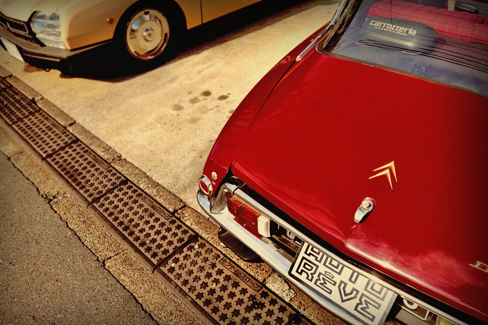 それは、人が言葉や文字はもちろん、創造力や知性をも獲得する前から育まれてきた自然の摂理のような存在・・・。