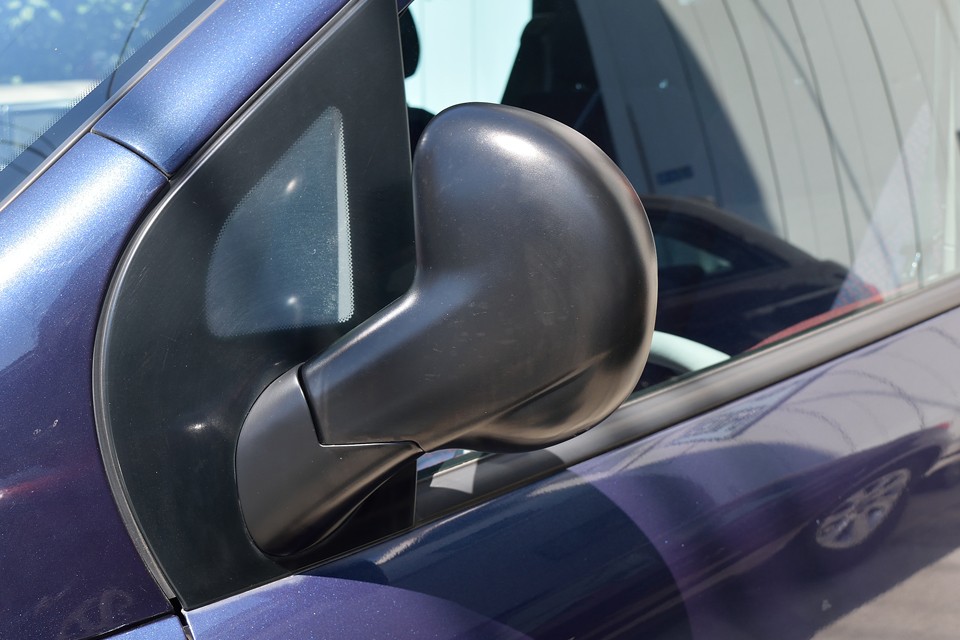 やっぱ生き物ですね・・・手もあります（笑）