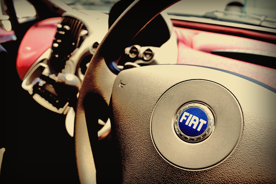 冗談はさておき、でもそんな風に言いたくなってしまう、この個性的なムルの存在って、普段の生活にきっと楽しさをもたらしてくれるに違いないのです。