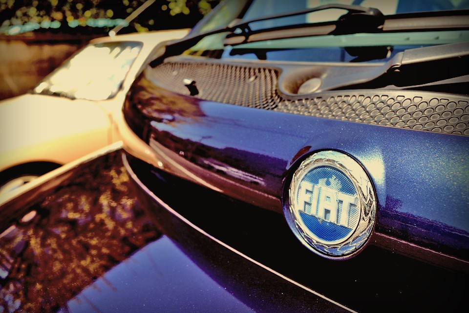 もう新種の生物ということでいいかと・・・その名も・・・。