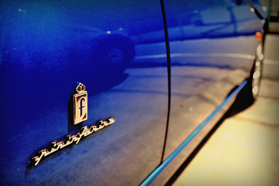 何十年、何百年という気の遠くなるような時を経て成長した木々の木漏れ日・・・。