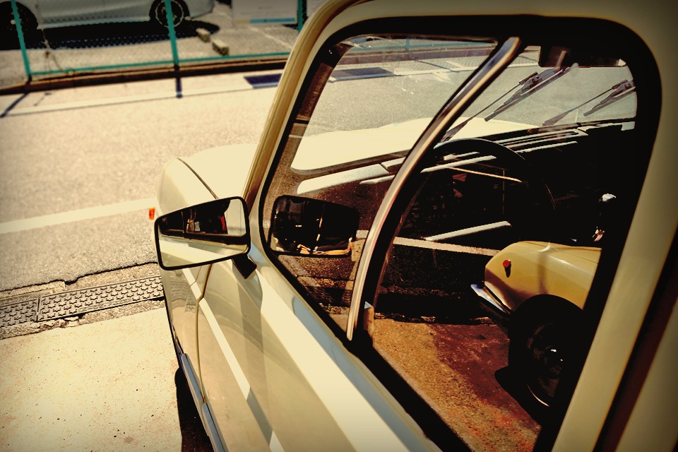 ロックミュージシャンのように、エネルギーに溢れたパワフルなキャトルもあれば、良家の子女のように、とっても御淑やかで上品なキャトルも・・・。