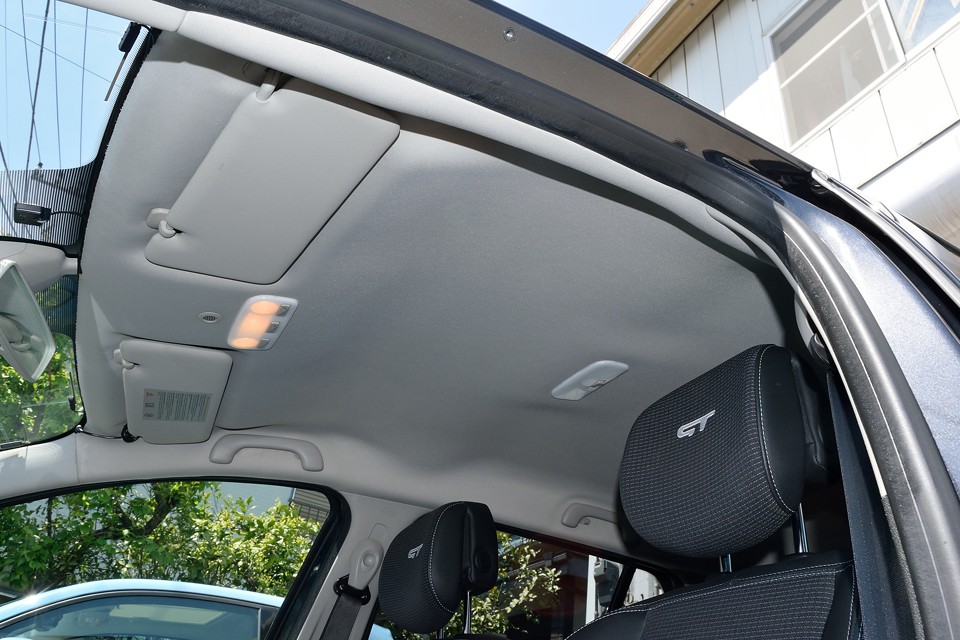 天張りもタレや目立つ汚れはありません。気になるタバコやペットの臭いも無し！