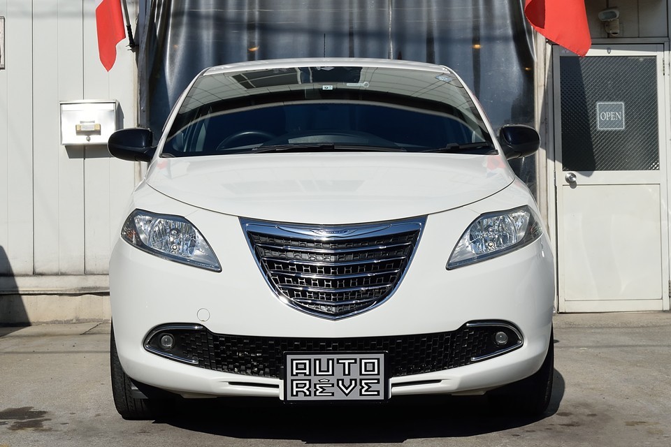 中世ヨーロッパ時代の盾を思わせるフロントグリルに、小さいクルマ＝カワイイ！という単純な連想で終わらせない鋭い眼つき！