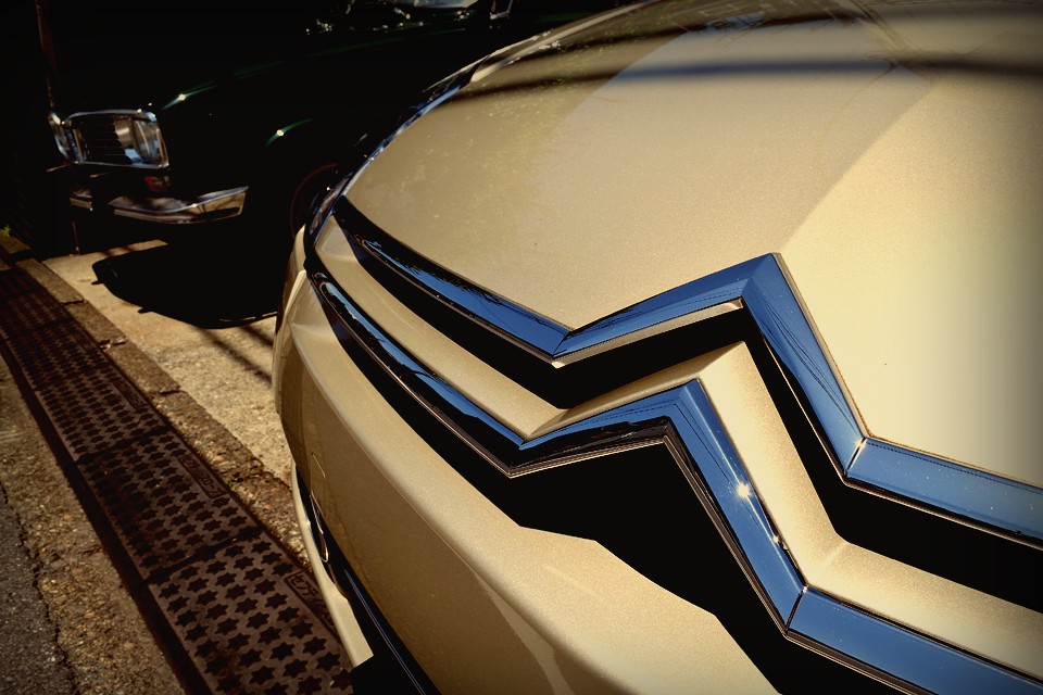 この個体に乗る理由はおそらくひとつだけ・・・。