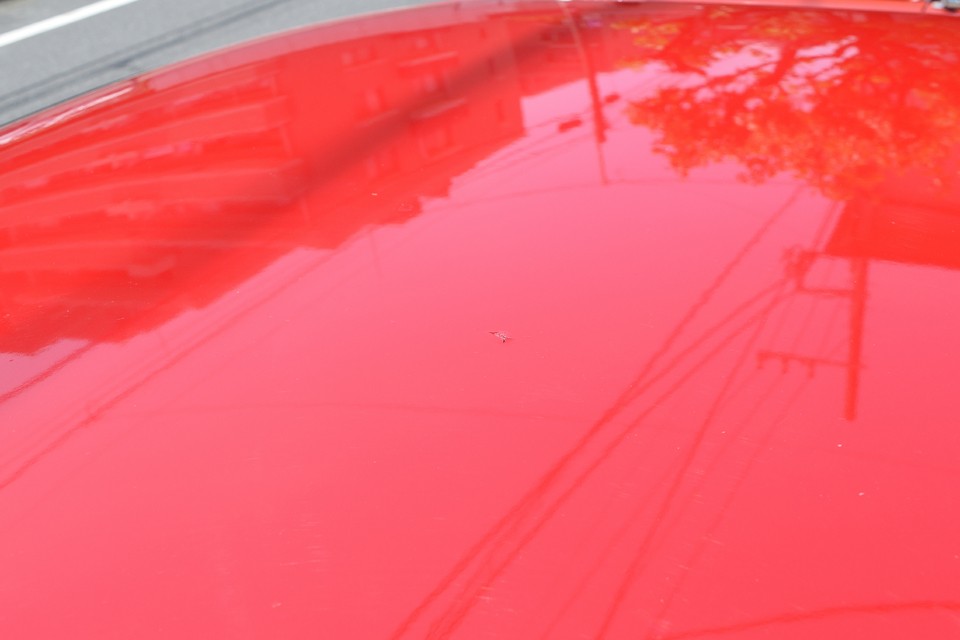 もう1つはルーフのほぼ中央に極小の塗装割れ。タッチアップされているので、これ以上ひどくなることは無さそうです。