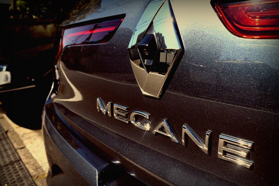 言わば「羊の革を被った・・・」いや、「オオカミの革を被ったティラノサウルス！」的な・・・（苦笑）