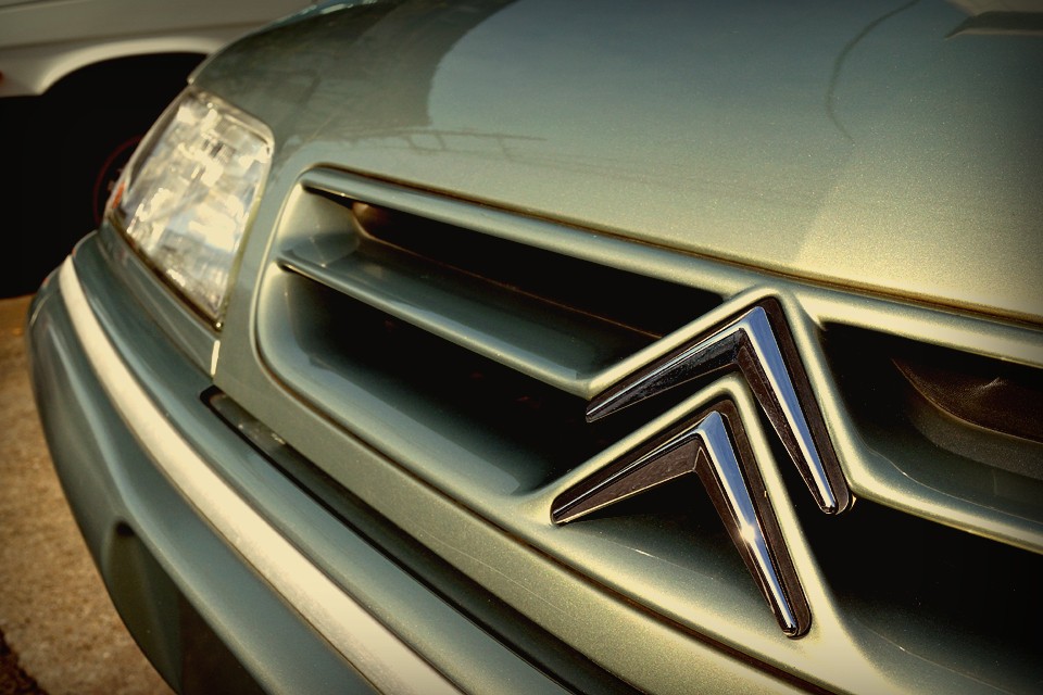 あの二刀流メジャーリーグ選手のように、その素晴らしさを知ってしまうと、一瞬たりとも目が離せない存在になってしまうのです。