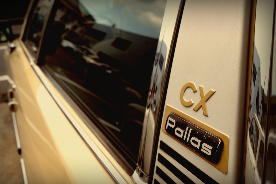 シリーズ1が好きだけどなかなか良い個体が無くて・・・と仰る方、ご購入云々は兎も角、今回こんな素晴らしい個体とのご縁があったので、まずはこのCXを一度見ておくだけでも良いご経験になるかと。