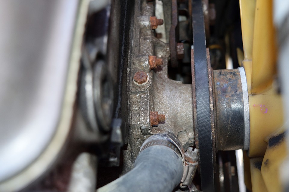 ウォーターポンプ付近も・・・乾いてますね。