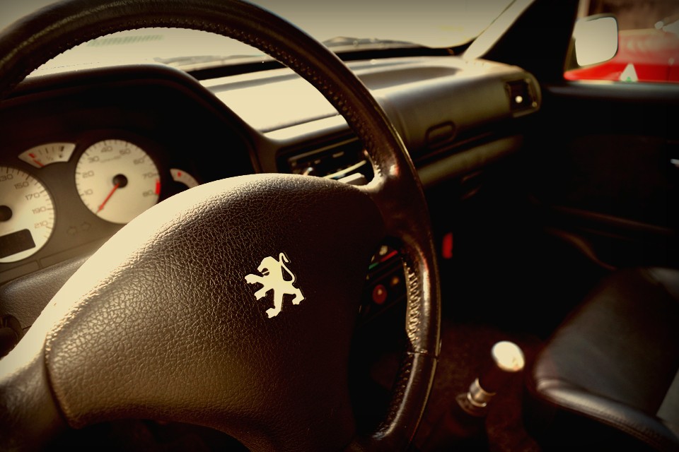 でも、にわかには信じられないくらい、どこそこ想像を超えてくる極上程度なので、思い切ってこれくらいのサービスは良しとしましょう！だって、今これ以上の状態の個体を望むのは・・・難しいのではないかと。